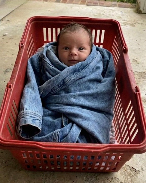 I discovered a baby on my porch, wrapped in my missing daughter’s denim jacket — and the terrifying note I found in its pocket made my hands tremble.