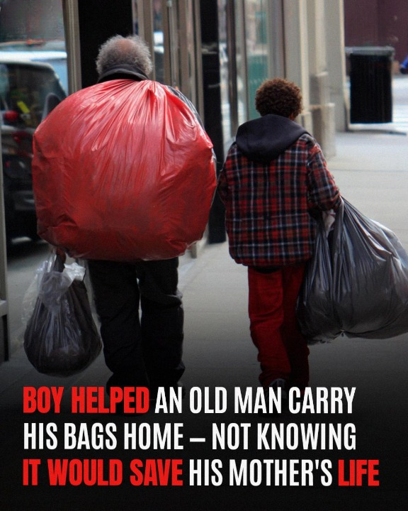 A boy helped an elderly man carry his bags home, unaware that this simple act of kindness would later play a crucial role in saving his mother’s life.